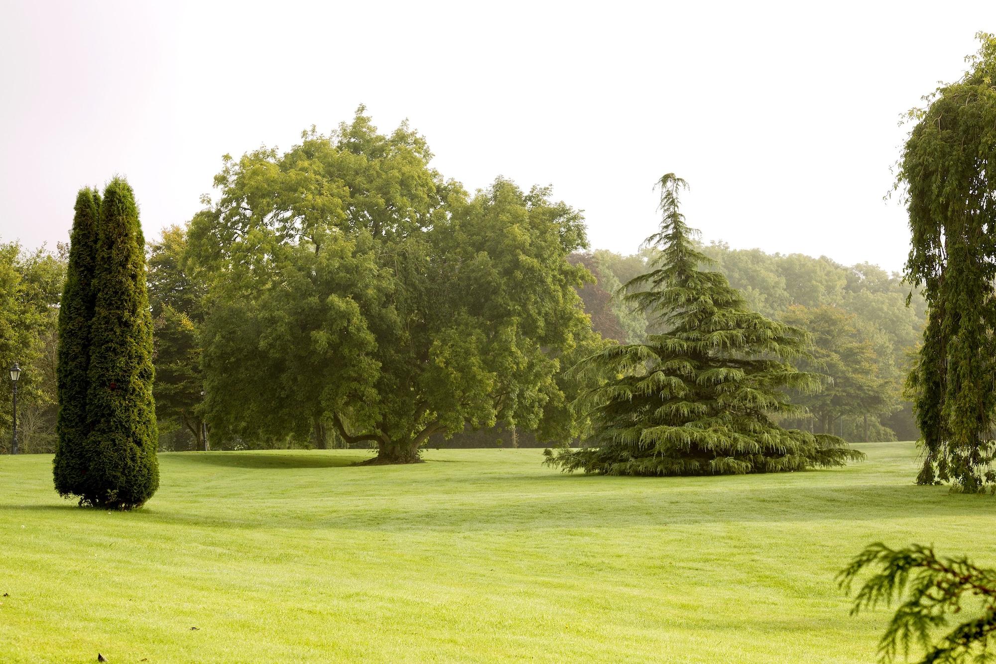 Moyvalley Hotel & Golf Resort Esterno foto